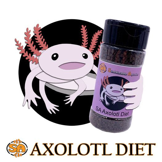 Axolotl Food: A Guide to Healthy Feeding